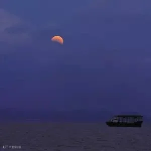 1428020396709741.jpg