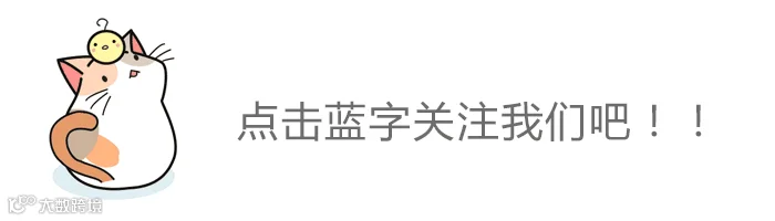小猫gif动图引导关注