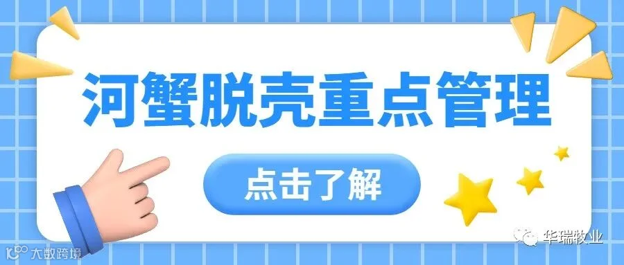 封面.jpg