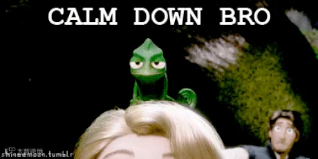 17.gif