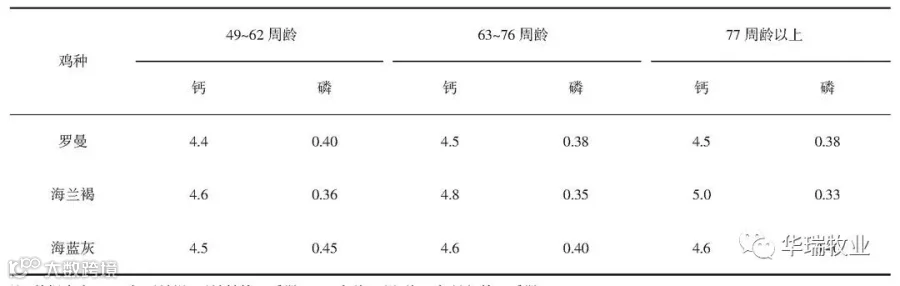 蛋鸡钙磷比需求.jpg