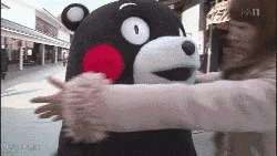 熊本熊
