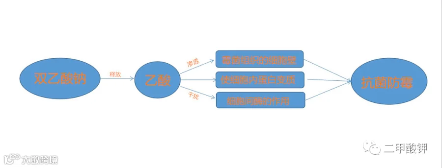 双乙酸钠 5.png