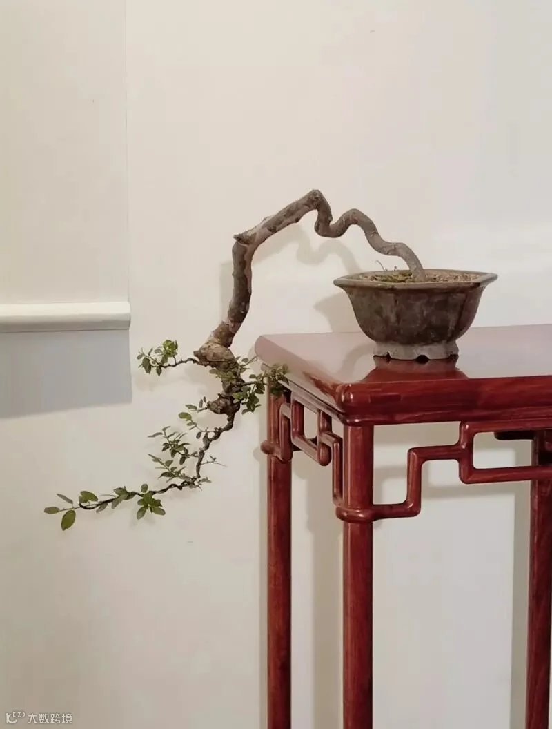 微信图片_2018071610120719.jpg