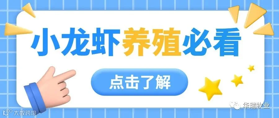 小龙虾.jpg
