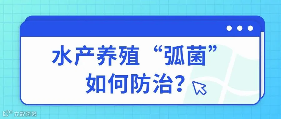 封面.jpg