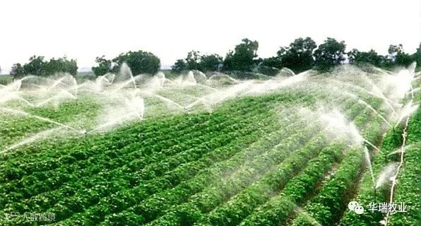 水溶肥1.jpg