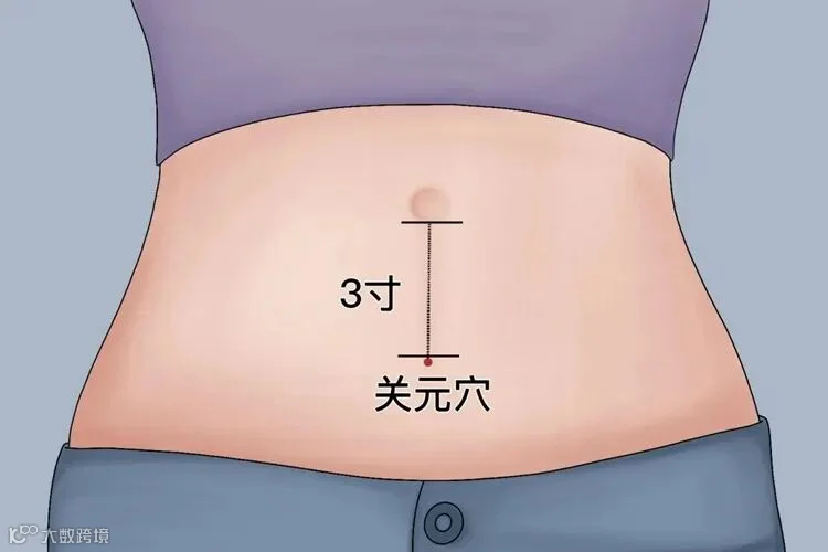 关元穴.jpeg