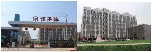 01.jpg