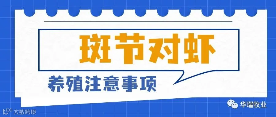 斑节对虾 (1).jpg