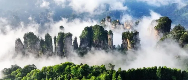暑期最长最完整的张家界旅游攻略，不看就亏大发了