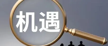 7月1日新规落地！跨境出海彻底变天：拼速度的时代结束，拼规则的时代来临