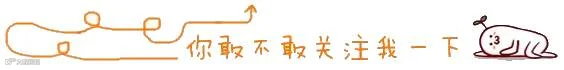 引导关注