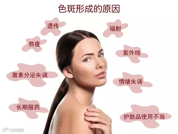 940e558c911042c4bf420da4e10f2a06_th.jpg
