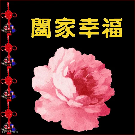 点击查看源网页