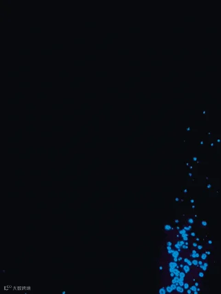 IMB_8ZfZgv.GIF