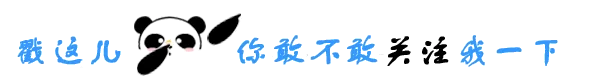 大熊猫引导关注