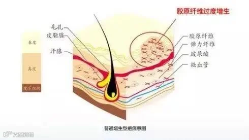 微信图片_20210803165500.jpg