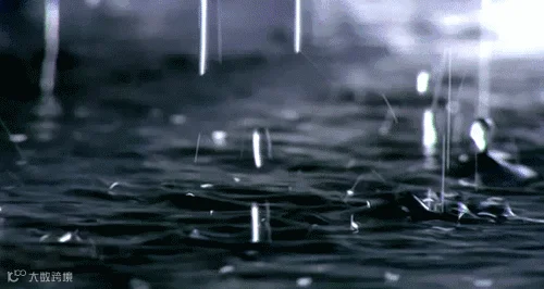 timg.gif