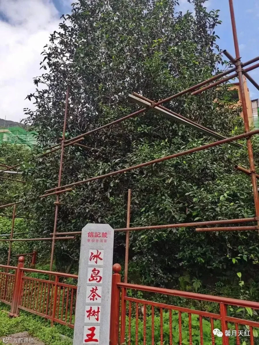 微信图片_20230407122328.jpg