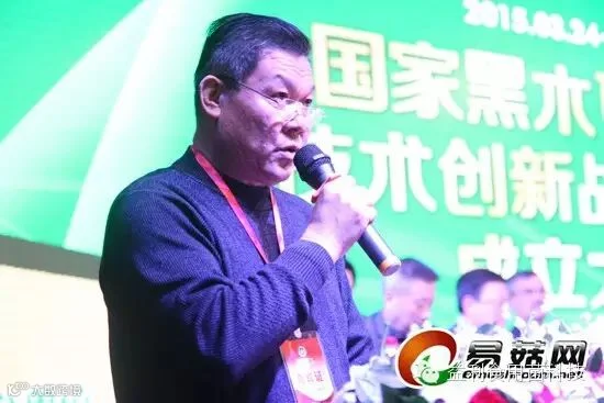 点击打开原图