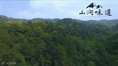 https://image.ipaiban.com/upload-ueditor-image-20171221-1513853119280088603.gif