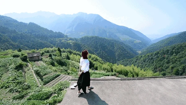 2.gif