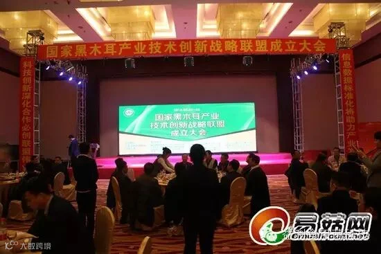 点击打开原图