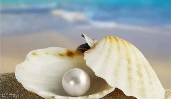 1_15360519018675.png