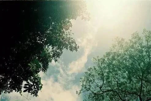 http://7xo6kd.com1.z0.glb.clouddn.com/upload-ueditor-image-20170323-1490203631212073950.png