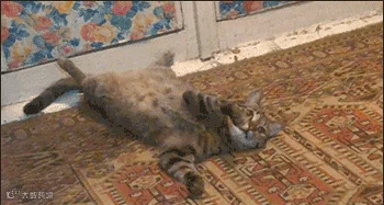 BbsImg143659101635870_350-187.gif