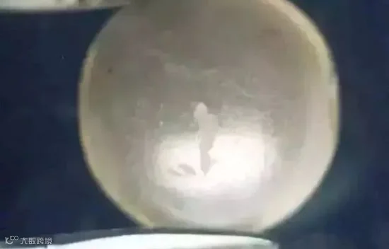 1_15360518431039.png