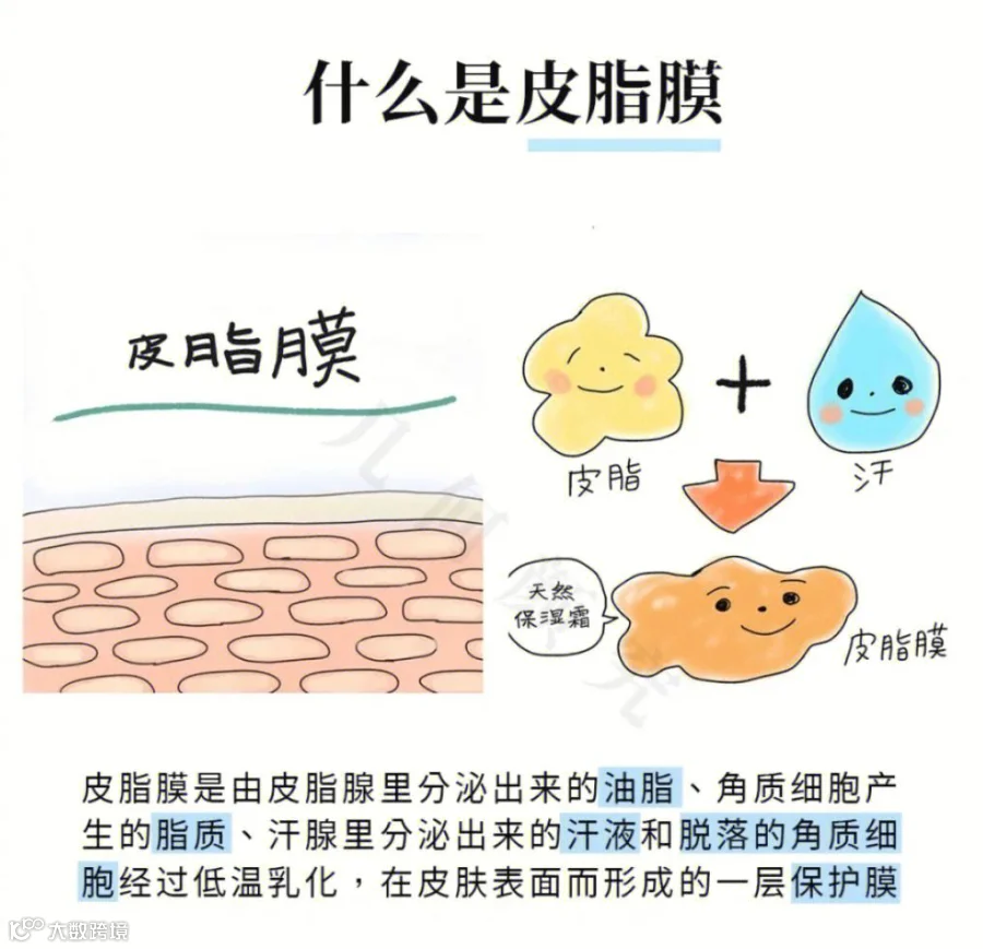 点击查看图片来源
