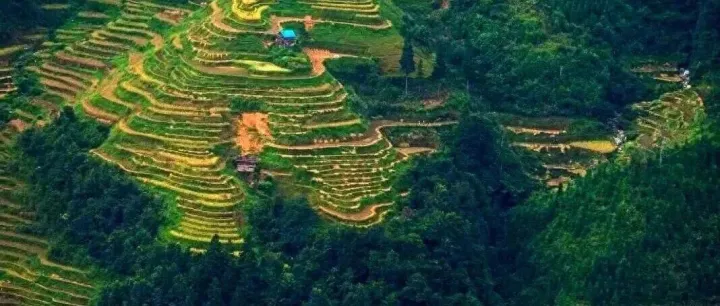 在湖南农村，为何总是争田夺地？