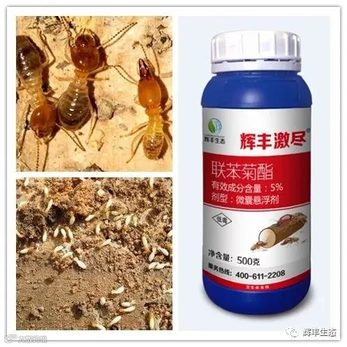 initpintu_副本.jpg