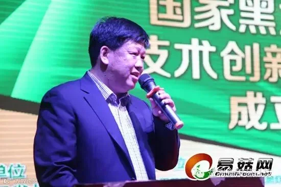 点击打开原图