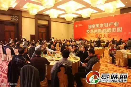点击打开原图