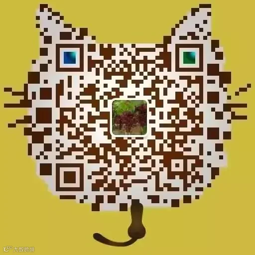 361010139428850766.jpg