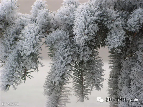 美哭了,这TM才叫冰雪奇缘!