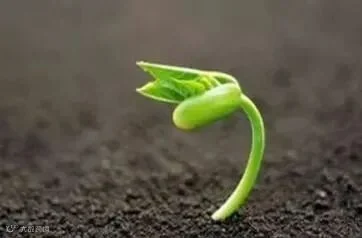 content_20180606092053.png