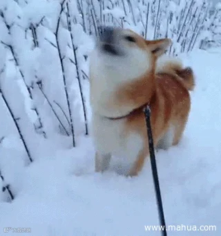 CgAAhlTIaNSAZCFnAAuqcPGkO7o038.gif