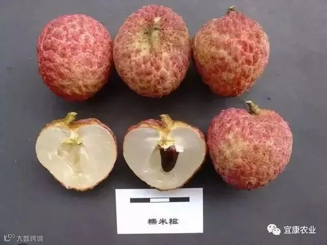 糯米糍_副本.jpg