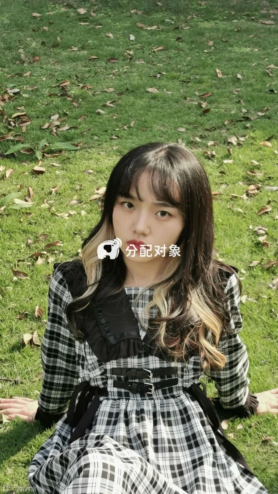 显示失败不影响粘贴至微信