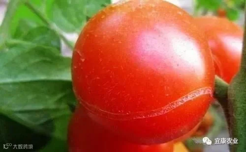 水分供应_副本.jpg