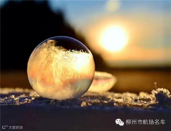 美哭了,这TM才叫冰雪奇缘!