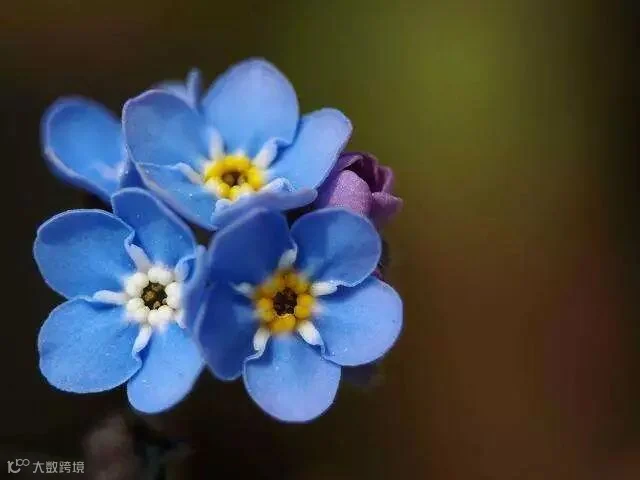 1525944663647976.jpeg