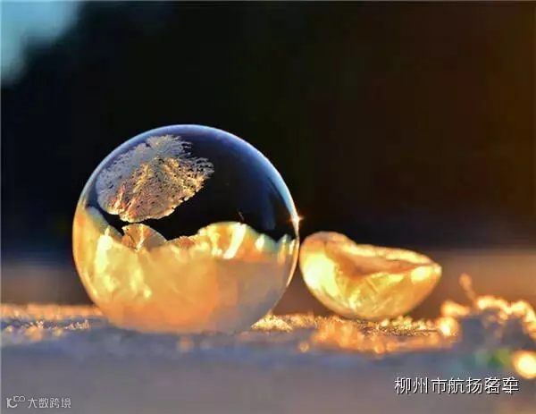 美哭了,这TM才叫冰雪奇缘!