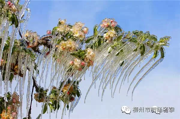 美哭了,这TM才叫冰雪奇缘!