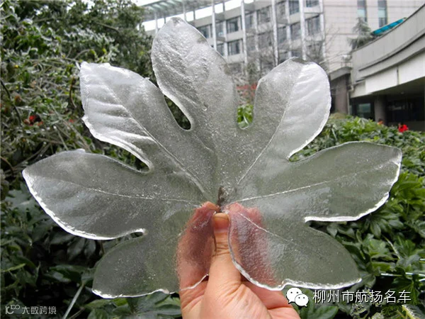 美哭了,这TM才叫冰雪奇缘!
