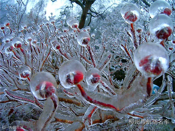 美哭了,这TM才叫冰雪奇缘!